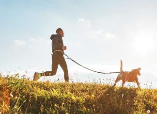 Estate: tempo di vacanze e giochi con i nostri amici a 4 zampe