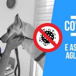 NUOVO DPCM ANTI-COVID. COME ACCUDIRE GLI ANIMALI