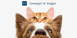 compagni-di-viaggio-iper-pubbliweb