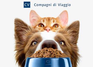 compagni-di-viaggio-iper-pubbliweb