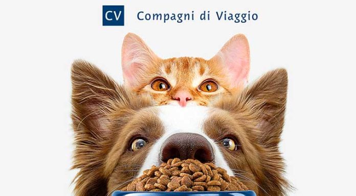 Alimentazione per gatti sterilizzati compagni-di-viaggio-iper-pubbliweb