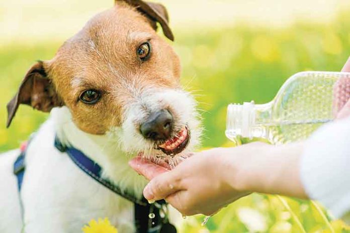 Come-difendersi-dal-caldo