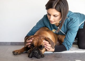 Giada-Marroffino-massaggi-per-cani