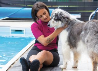 massaggio-acqua-cane_web1