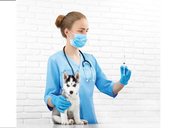 Vaccini-del-cane-e-gatto