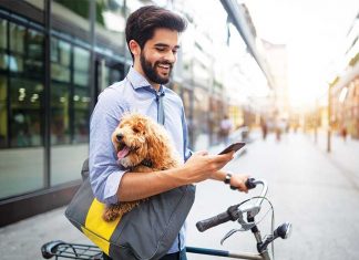 cane-uomo-bicicletta-città