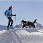 Skijoring-sport-invernale-con-cane