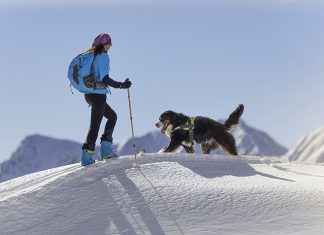 Skijoring-sport-invernale-con-cane
