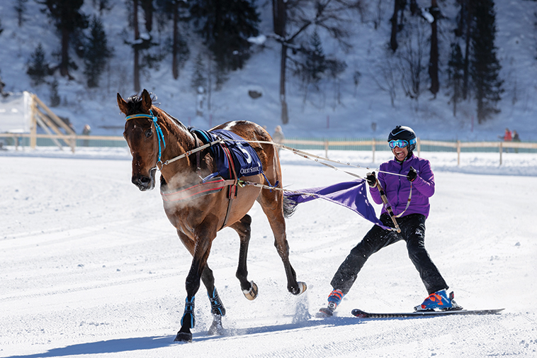 Lo skijoring con il cavallo