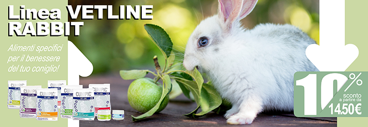 Banner pubblicitario di prodotti alimentari per conigli da compagnia