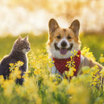 primavera-cambio-pelo-cani-gatti