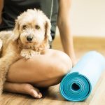 dog-real-yoga-cane