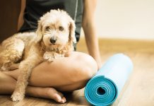 dog-real-yoga-cane