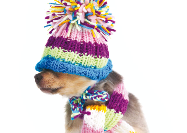 animali-ed-aria-condizionata cane con il cappello e la sciarpa