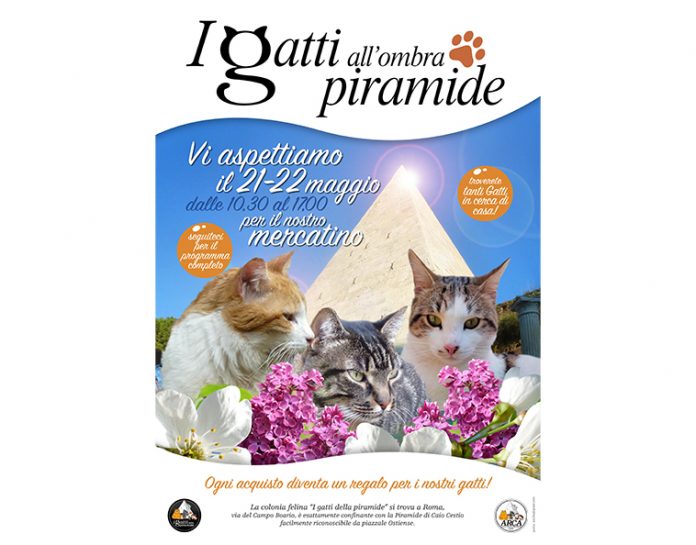 gatti-della-piramide-2022