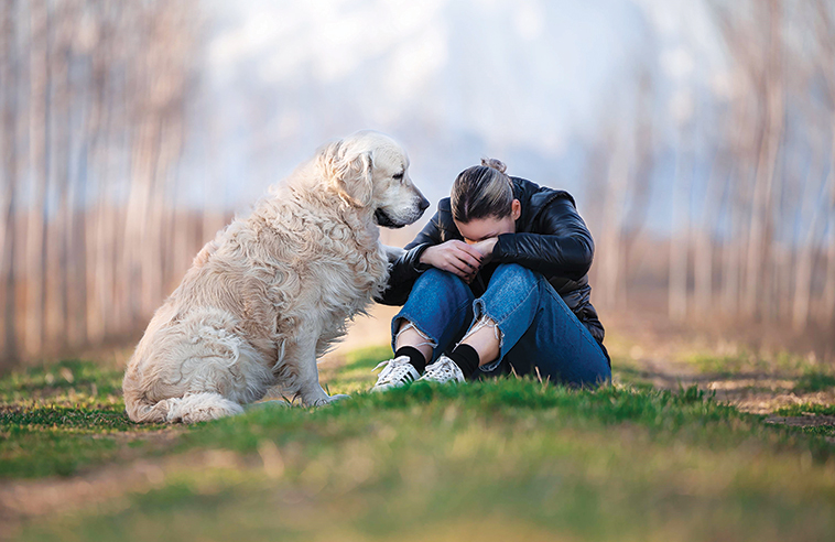Un cane che conforta il suo proprietario foto di Alessandra Bellardone