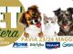 locandina-pet-in-fiera-2026