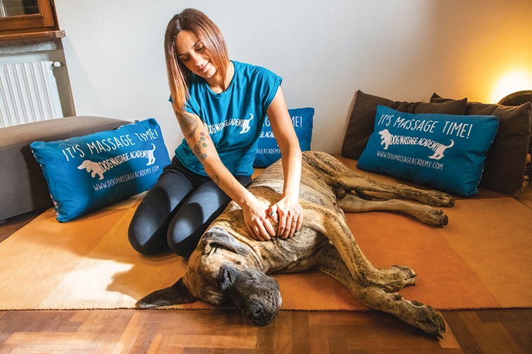 Giada Marroffino di Balto massaggi per cani mentra stà massaggiando un bellissimo cane 