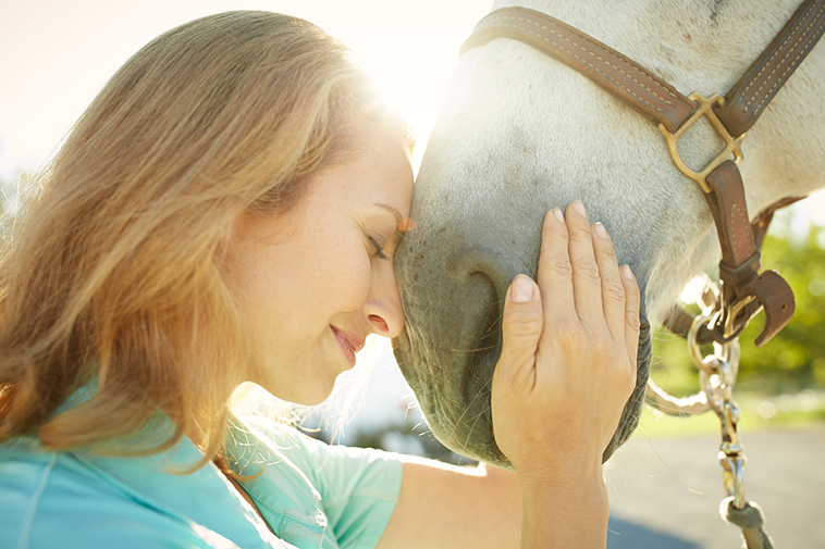 Il cavallo nella pet therapy nella foto una ragazza che accarezza il cavallo sul muso