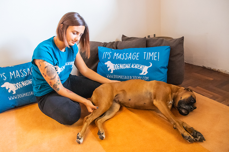 Giada Marroffino di massaggi per cani per il benessare posturale e armonia muscolare