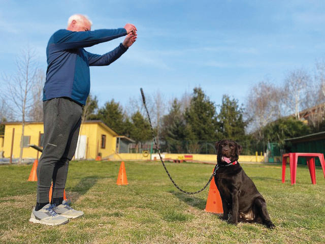 Ancora istruttore Caricato con il suo cane per insegnare il resta