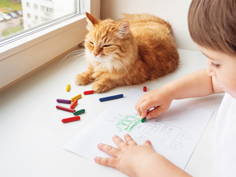Gatto sul tavolo mentre un bimbo disegna