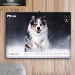 anteprima calendario 2026