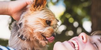i-migliori-amici-del-cane