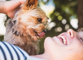 I migliori amicI del cane i-migliori-amici-del-cane