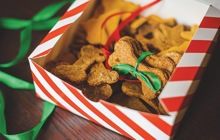 Idee regalo biscottini di Natale fatti in casa per i nostri Pets