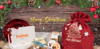 fidvet-xmas-box