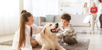 inverno-giocare-casa-con-il-cane