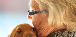 vet-eris-cane-pet-therapy
