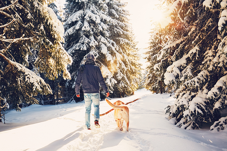 cane che passeggia con l'uomo nella neve