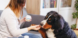movoflex-soft-chews-1