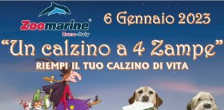 befana-zoomarine