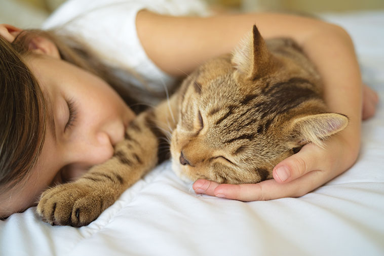 nella foto una bimba che abbraccia il suo gatto mentre dorme