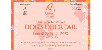 dogs-cocktail