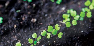 ecologia-mercato-petfood