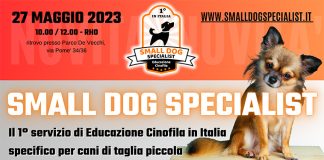 evento-small-dog-specialist