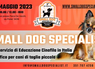 evento-small-dog-specialist