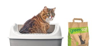 lettiera-gatto-greencat