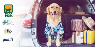 autogrill-evento-fido-Park