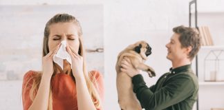 Allergie-cane-gatto-come-curarle