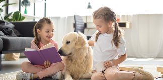 Romanzi con protagonisti animali