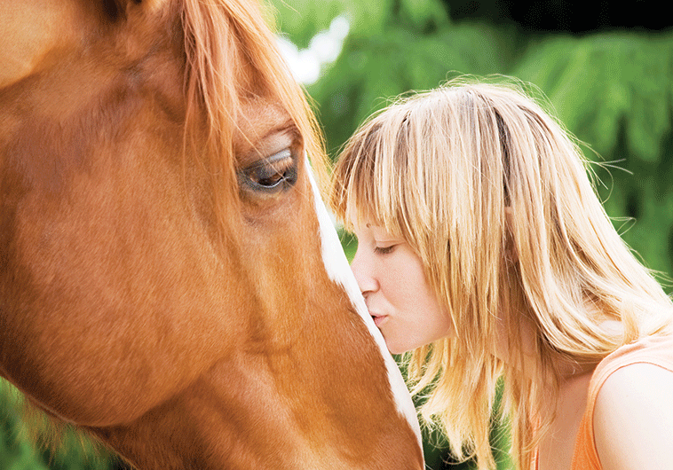 cura e attenzioni per il cavallo proprietaria mentre bacia il suo cavallo