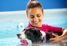 Benefici massaggi in acqua per cani