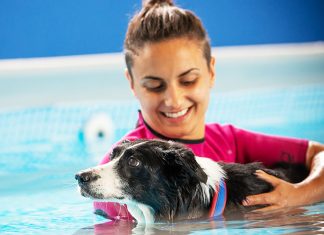 Benefici massaggi in acqua per cani