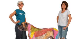 Conoscere il corpo del cane