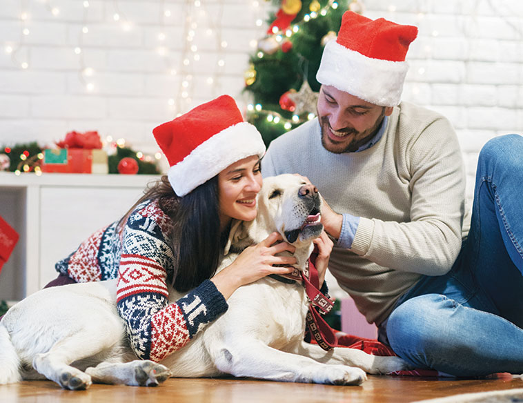 Natale regali pranzo e coccole un bellissimo cagnolone con i suoi amici umani sotto l'albero